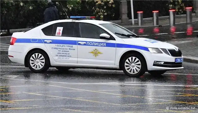 Задержан водитель из Иркутска, сбивший двух детей и скрывавшийся в лесном массиве
