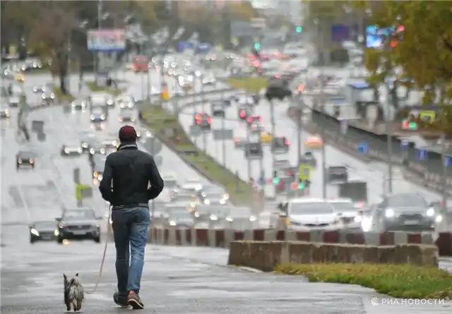 Москвичам с детьми объяснили, как безопасно и с пользой гулять с приютской собакой