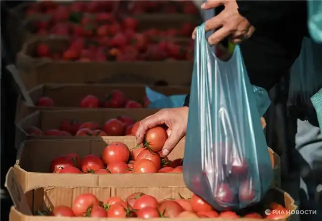 Эксперт Попова отмечает - цена куриных яиц за месяц снизилась на 9,6%