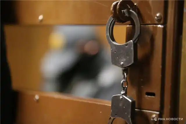 В Иркутске задержан на 15 суток водитель, сбивший детей и скрывшийся в лесу